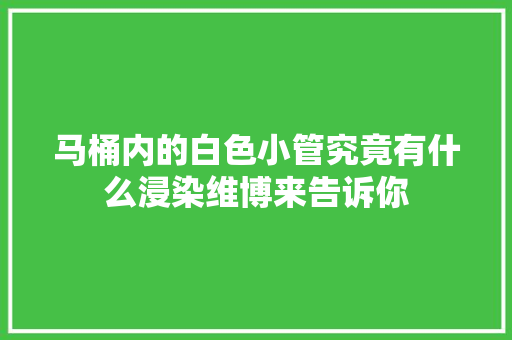 马桶内的白色小管究竟有什么浸染维博来告诉你