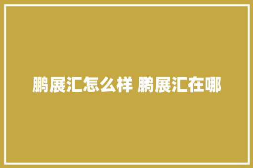 鹏展汇怎么样 鹏展汇在哪