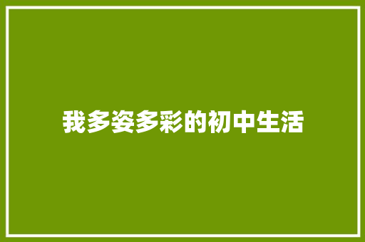 我多姿多彩的初中生活
