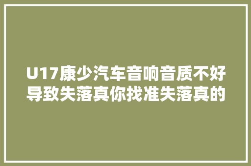 U17康少汽车音响音质不好导致失落真你找准失落真的原因了吗