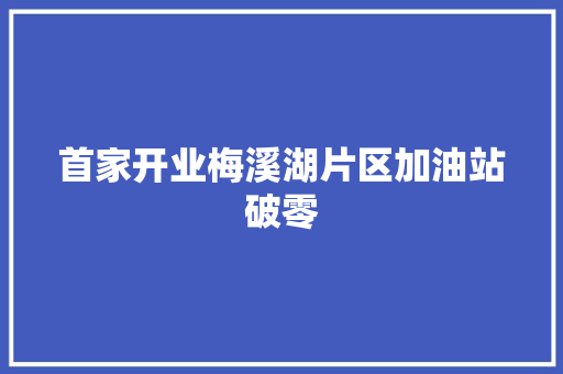 首家开业梅溪湖片区加油站破零