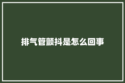 排气管颤抖是怎么回事