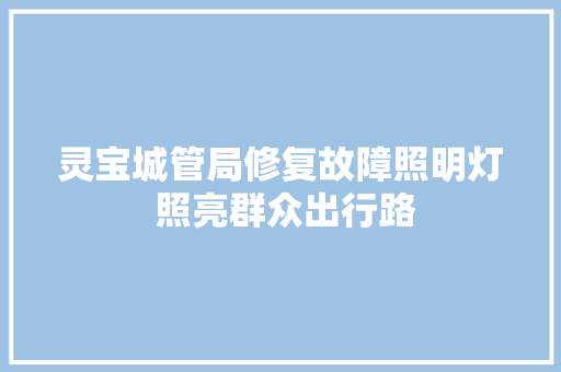 灵宝城管局修复故障照明灯 照亮群众出行路