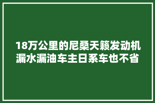 18万公里的尼桑天籁发动机漏水漏油车主日系车也不省心呀