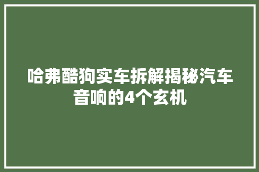 哈弗酷狗实车拆解揭秘汽车音响的4个玄机