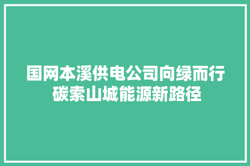 国网本溪供电公司向绿而行 碳索山城能源新路径