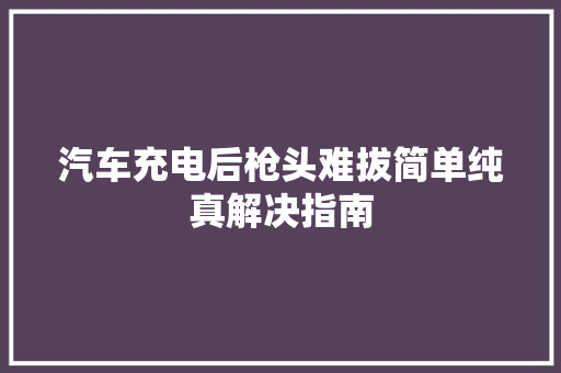 汽车充电后枪头难拔简单纯真解决指南
