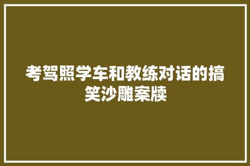 考驾照学车和教练对话的搞笑沙雕案牍