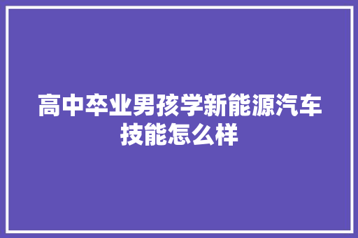 高中卒业男孩学新能源汽车技能怎么样