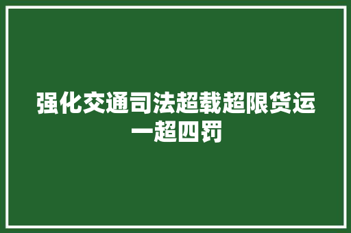 强化交通司法超载超限货运一超四罚
