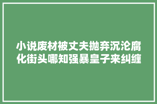 小说废材被丈夫抛弃沉沦腐化街头哪知强暴皇子来纠缠要娶她为妻 汽车知识