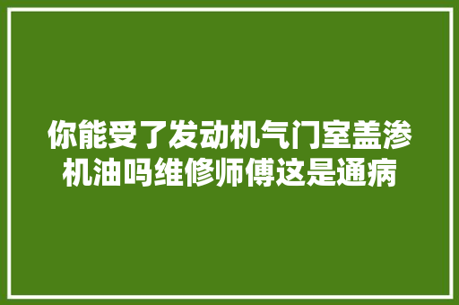 你能受了发动机气门室盖渗机油吗维修师傅这是通病