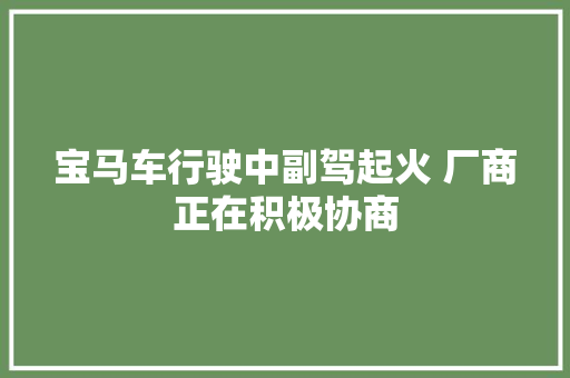 宝马车行驶中副驾起火 厂商正在积极协商