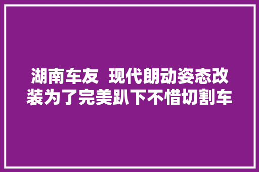 湖南车友  现代朗动姿态改装为了完美趴下不惜切割车架