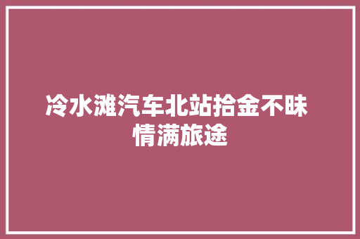 冷水滩汽车北站拾金不昧 情满旅途