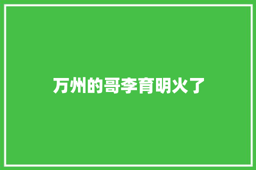 万州的哥李育明火了
