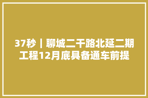 37秒｜聊城二干路北延二期工程12月底具备通车前提三期即将启动