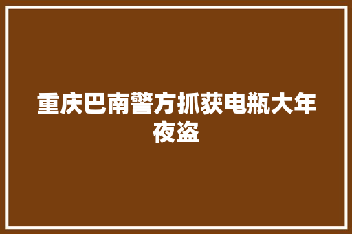 重庆巴南警方抓获电瓶大年夜盗