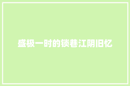 盛极一时的锁巷江阴旧忆