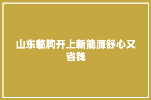 山东临朐开上新能源舒心又省钱
