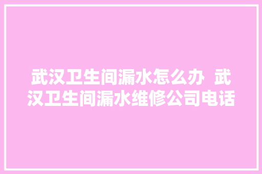 武汉卫生间漏水怎么办  武汉卫生间漏水维修公司电话