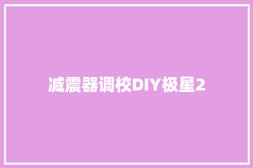 减震器调校DIY极星2 汽车知识