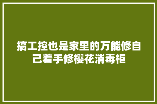 搞工控也是家里的万能修自己着手修樱花消毒柜