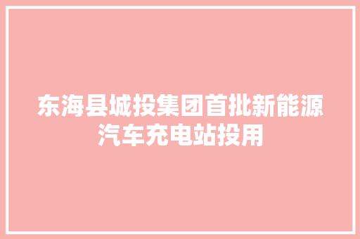 东海县城投集团首批新能源汽车充电站投用
