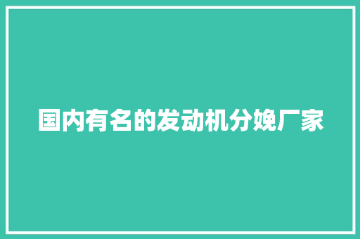 国内有名的发动机分娩厂家
