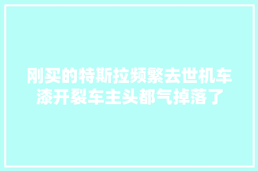 刚买的特斯拉频繁去世机车漆开裂车主头都气掉落了