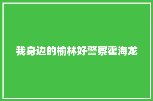 我身边的榆林好警察霍海龙