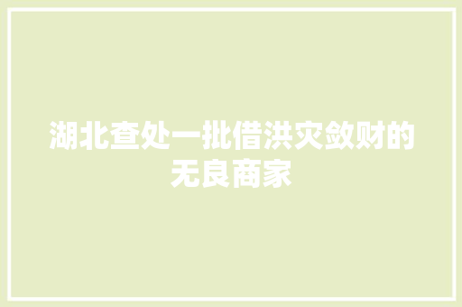 湖北查处一批借洪灾敛财的无良商家