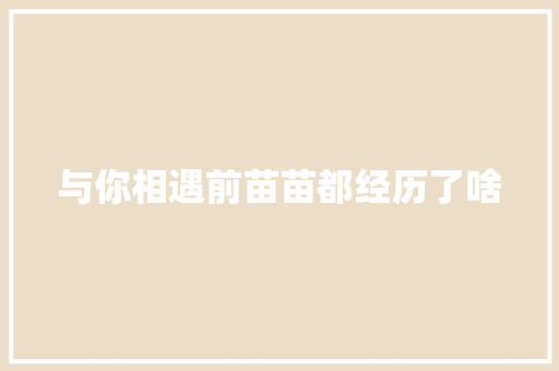 与你相遇前苗苗都经历了啥
