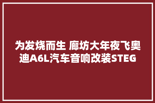 为发烧而生 廊坊大年夜飞奥迪A6L汽车音响改装STEG顶级喇叭MSK