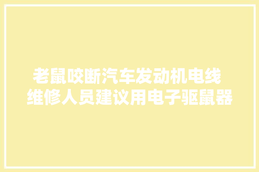 老鼠咬断汽车发动机电线 维修人员建议用电子驱鼠器预防
