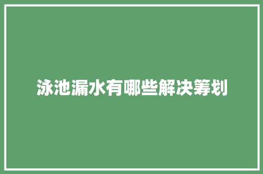 泳池漏水有哪些解决筹划