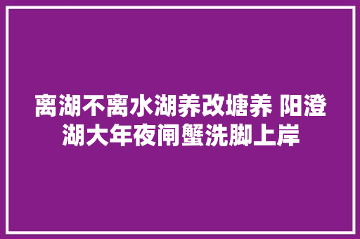 离湖不离水湖养改塘养 阳澄湖大年夜闸蟹洗脚上岸