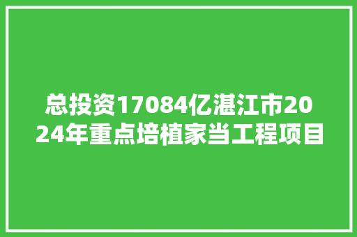 总投资17084亿湛江市2024年重点培植家当工程项目名单