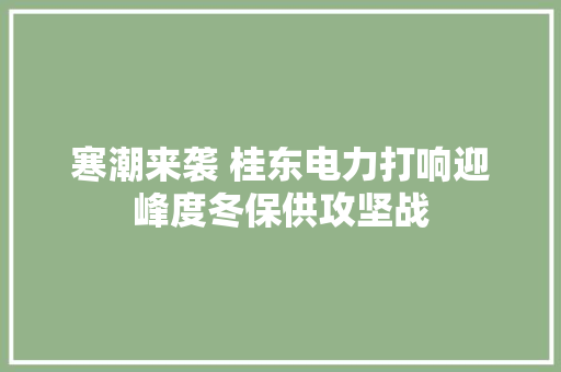 寒潮来袭 桂东电力打响迎峰度冬保供攻坚战