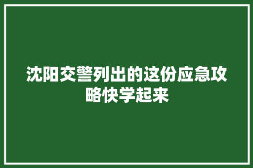 沈阳交警列出的这份应急攻略快学起来