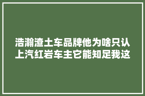 浩瀚渣土车品牌他为啥只认上汽红岩车主它能知足我这3点要求