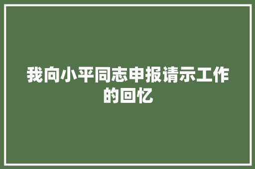 我向小平同志申报请示工作的回忆