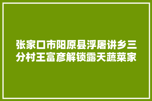 张家口市阳原县浮屠讲乡三分村王富彦解锁露天蔬菜家当密码