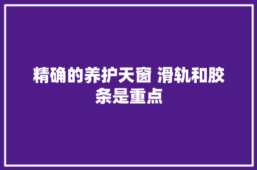 精确的养护天窗 滑轨和胶条是重点
