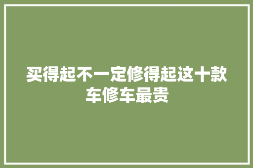 买得起不一定修得起这十款车修车最贵 汽车知识