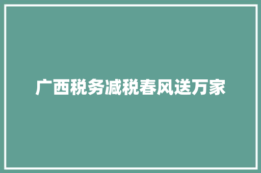 广西税务减税春风送万家