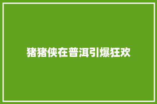 猪猪侠在普洱引爆狂欢