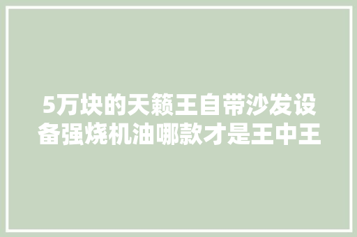 5万块的天籁王自带沙发设备强烧机油哪款才是王中王