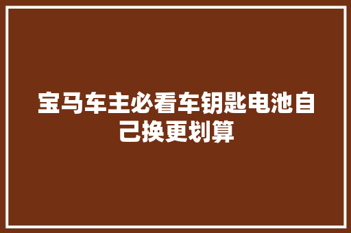 宝马车主必看车钥匙电池自己换更划算