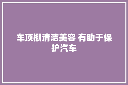 车顶棚清洁美容 有助于保护汽车